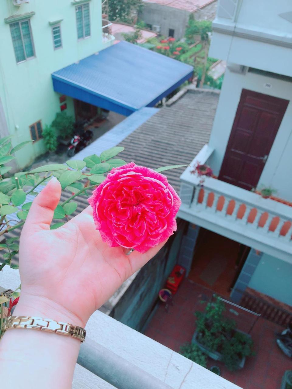 Pi'S Homestay Catba Dong Khe Sau Dış mekan fotoğraf